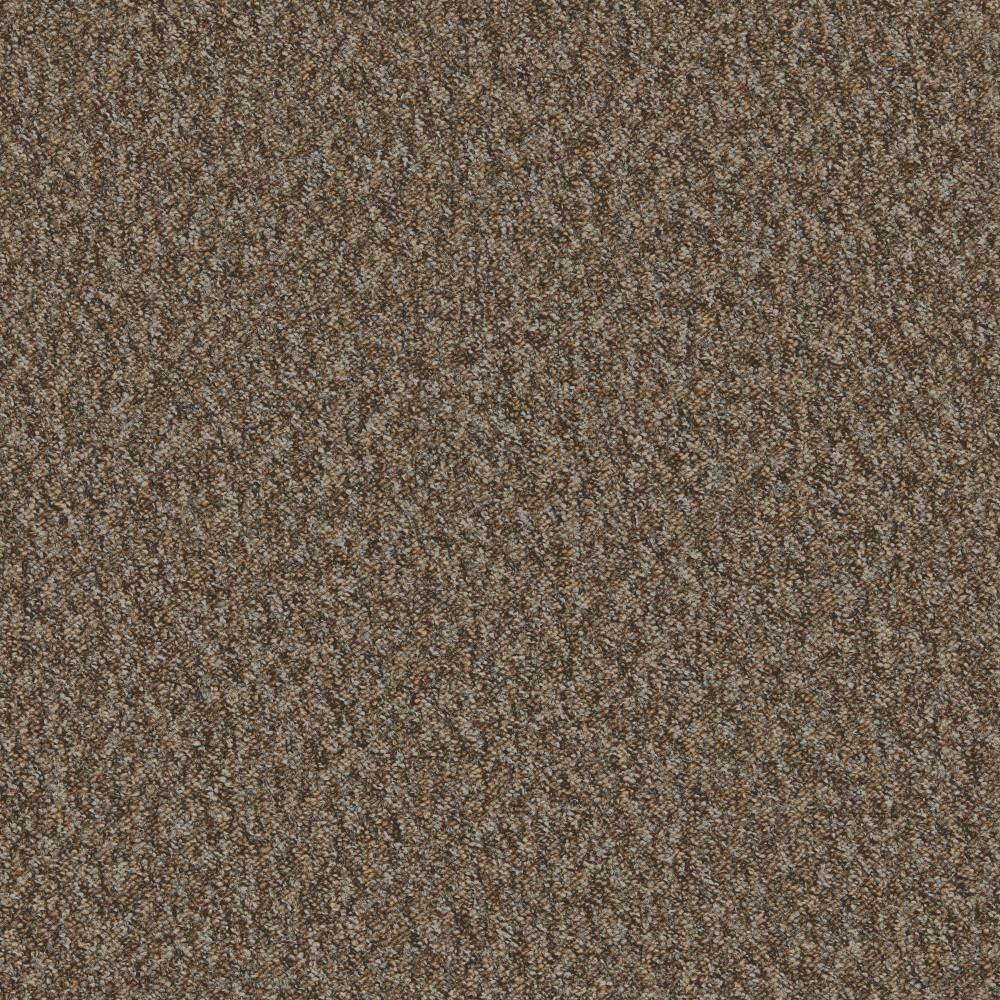 Mojave Cappuccino Carpet Flooring