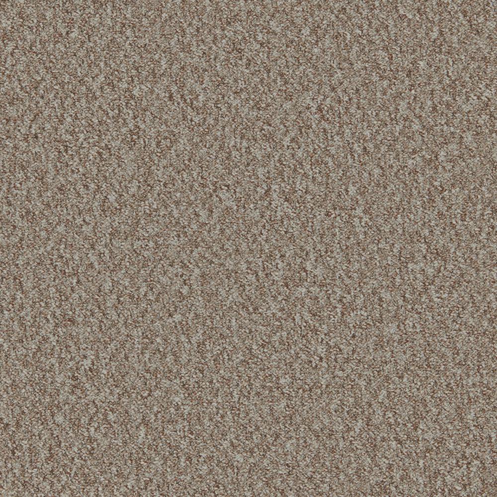 Mojave Beach Nut Carpet Flooring