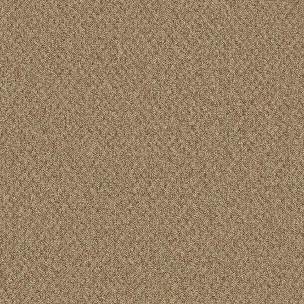 Mojave Antelope Carpet Flooring