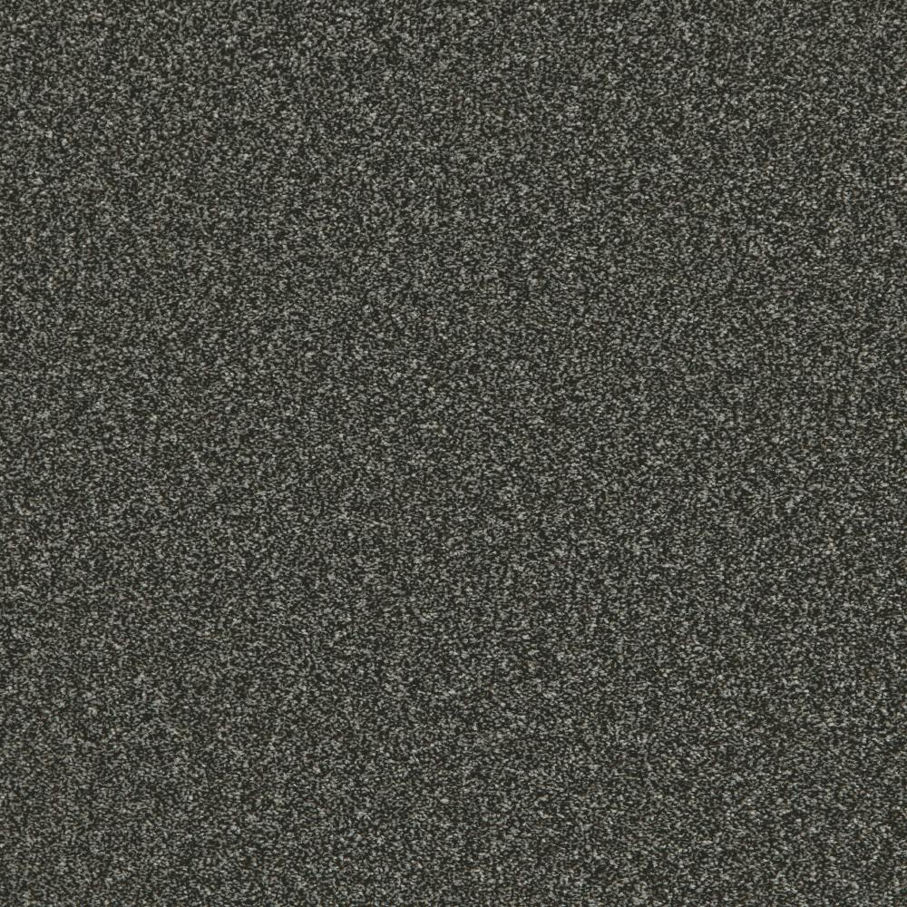 Provence Classic Starlight Carpet Flooring