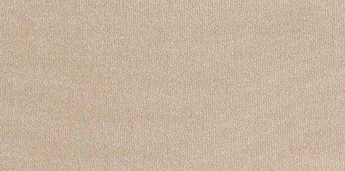 Trident Cicogna Carpet Flooring