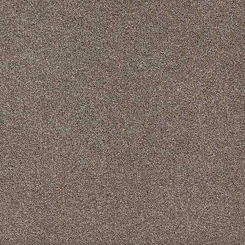 Trident Ice Carpet Flooring