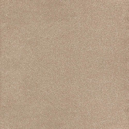 Trident Semolina Carpet Flooring