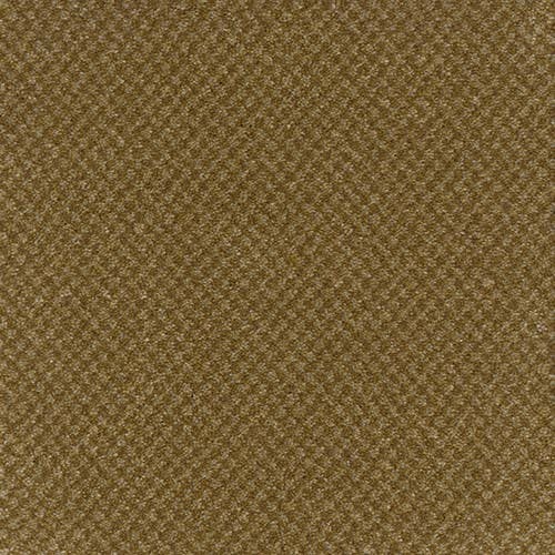 Trident Tweed Winter Barley Carpet Flooring