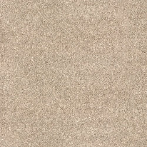 Trident Vicuna Carpet Flooring