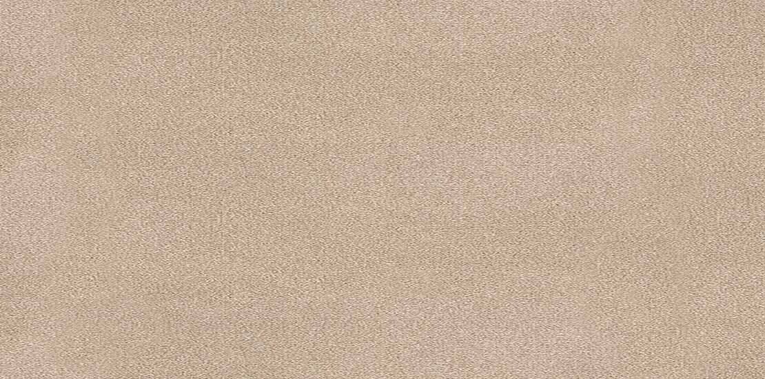 Trident Vicuna Carpet Flooring