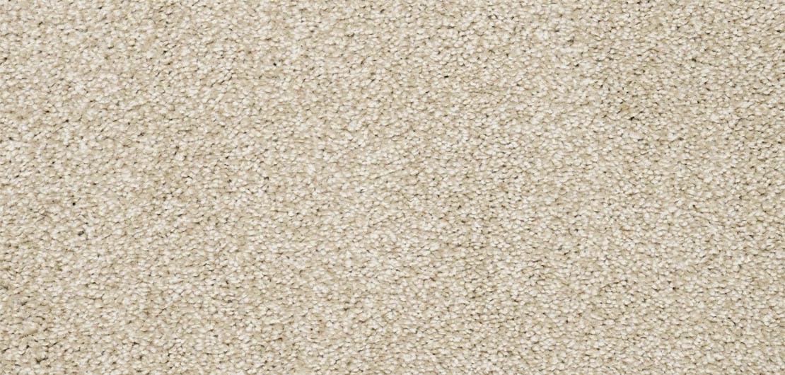 Aria Cream Carpet Flooring