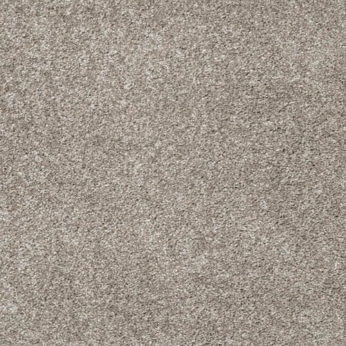 Aria Peat Carpet Flooring