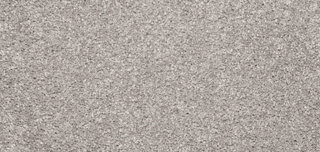 Aria Chinchilla Carpet Flooring