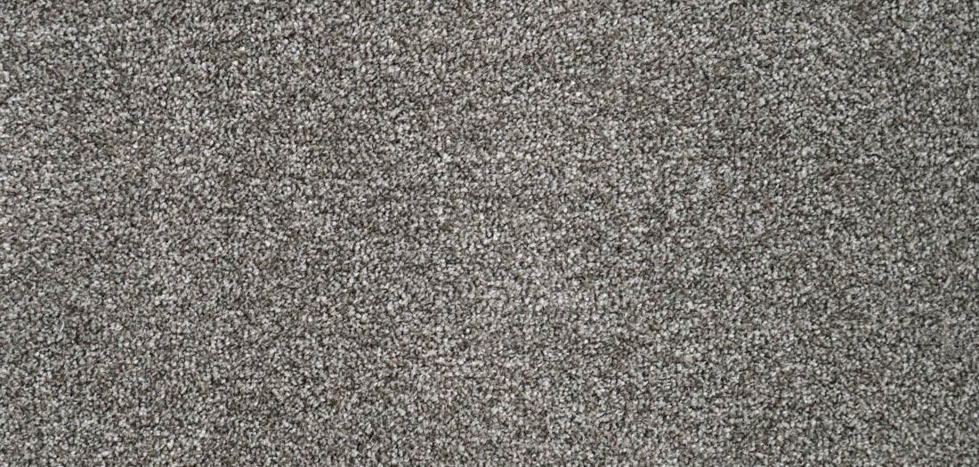 Carefree Twist Pewter Carpet Flooring