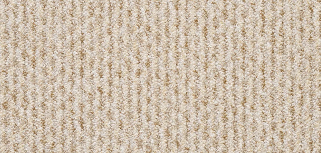 Dakar Conque Carpet Flooring