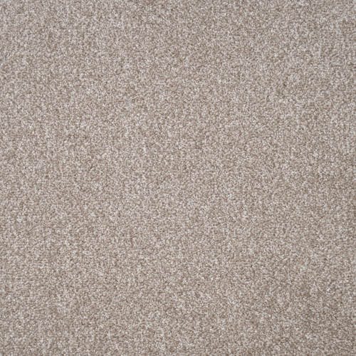 Duchesse Coquille Carpet Flooring