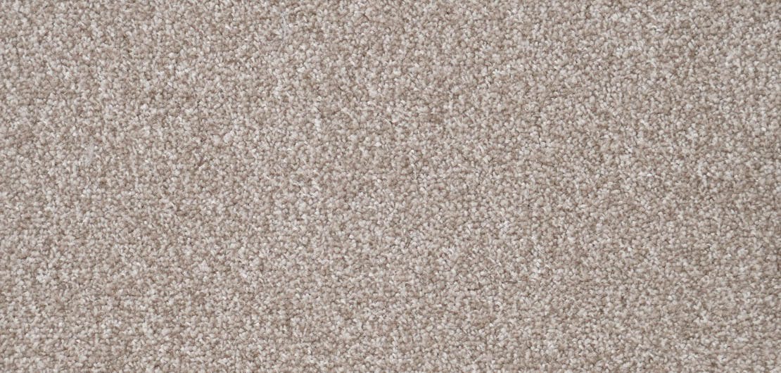 Duchesse Coquille Carpet Flooring