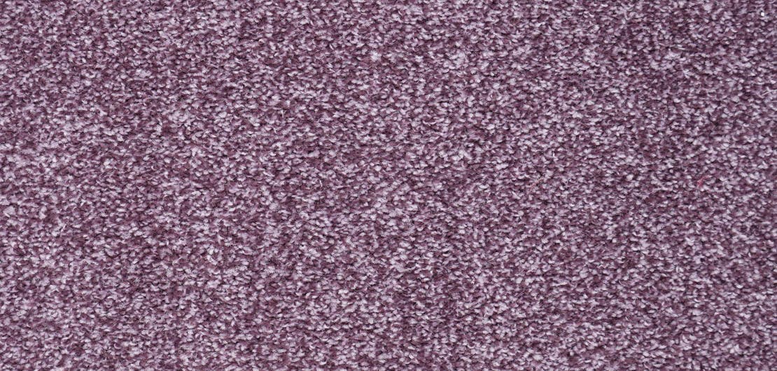 Harmony Amethyst Carpet Flooring