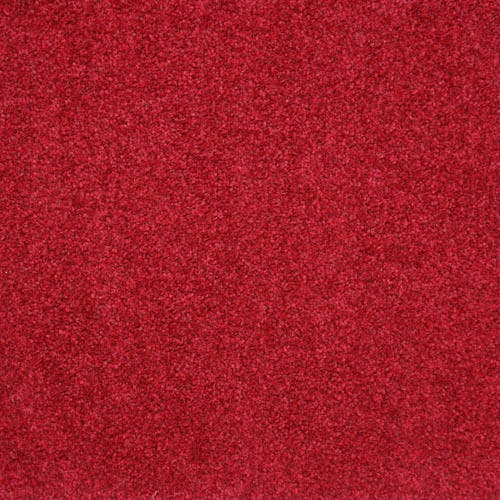 Harmony Bordeaux Carpet Flooring