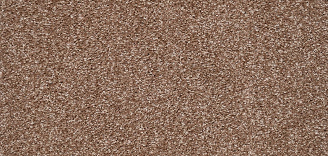 Harmony Saddle Carpet Flooring