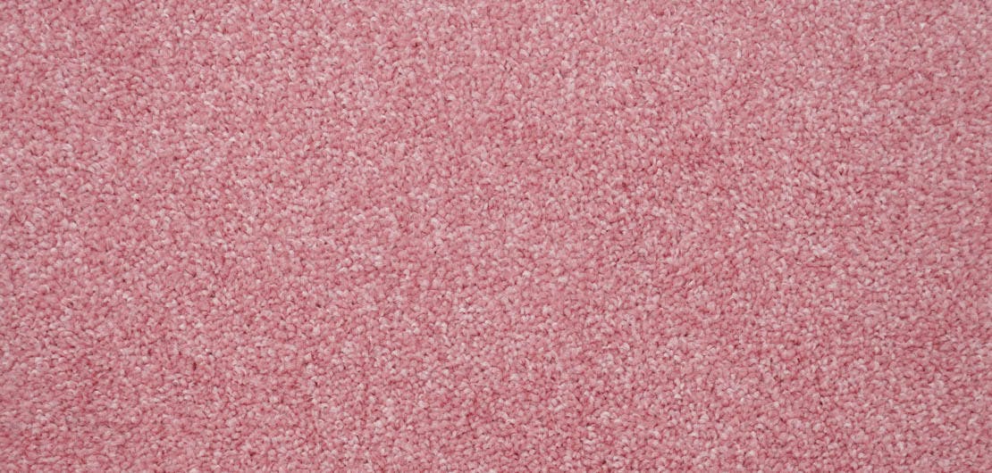 Harmony Camelia Carpet Flooring