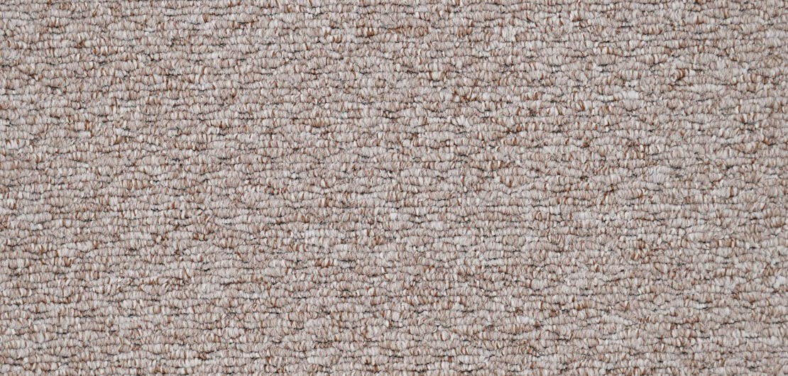 Oasis Almond Carpet Flooring