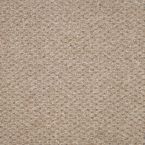 Oasis Pecan Carpet Flooring