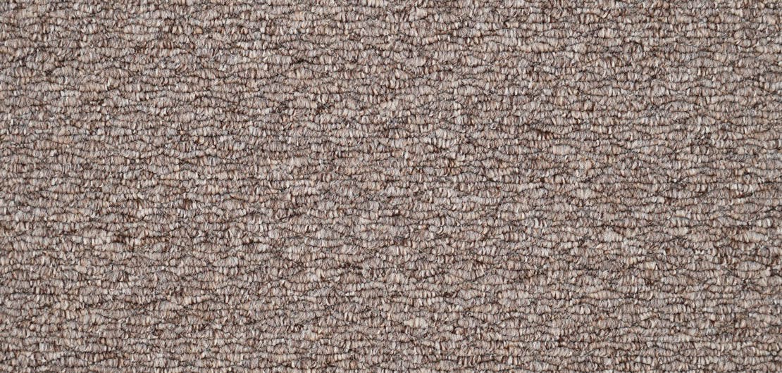 Oasis Dark Taupe Carpet Flooring