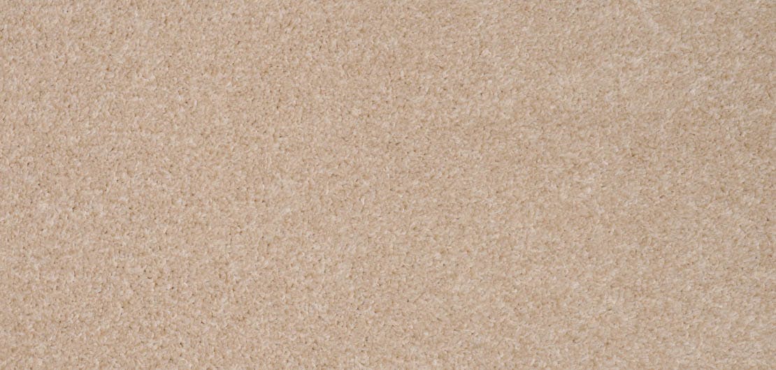 Revelation Transpire Carpet Flooring