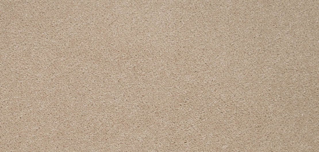 Revelation Vision Carpet Flooring