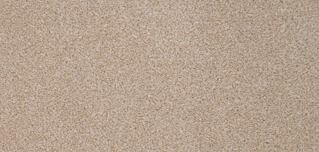 Revelation Apprise Carpet Flooring