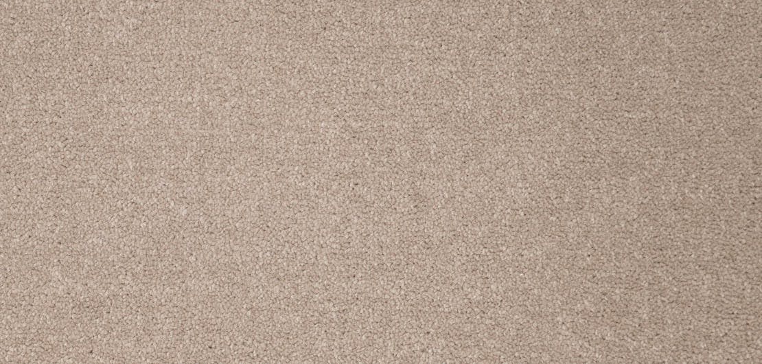 Revelation Reveal Carpet Flooring