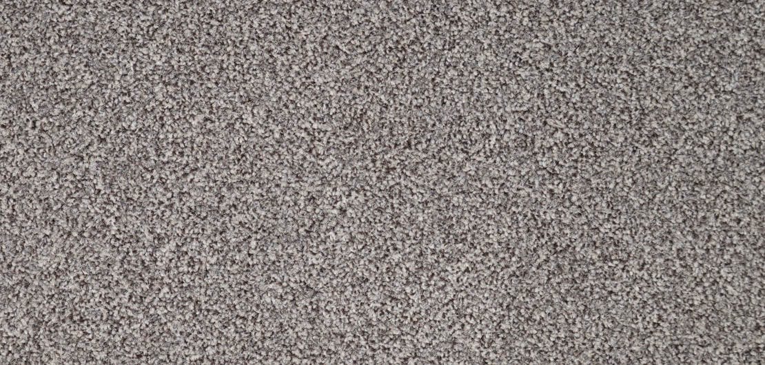 Revelation Declare Carpet Flooring