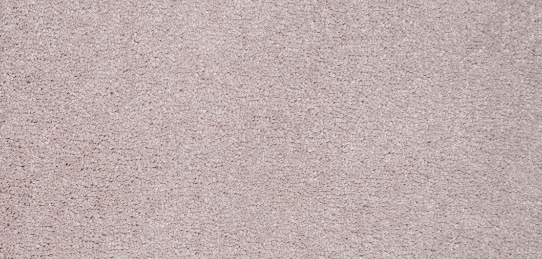 Spirito Orchid Carpet Flooring