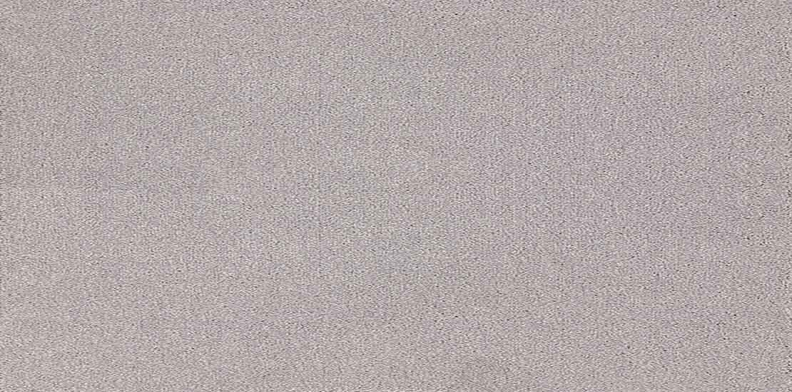 Trident Titanium Carpet Flooring