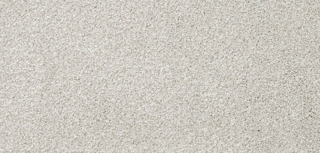 Vivace Bleachstone Carpet Flooring