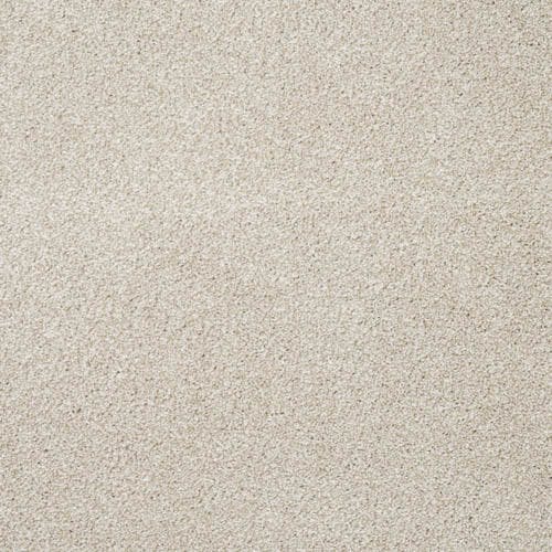 Vivace Orchid Carpet Flooring