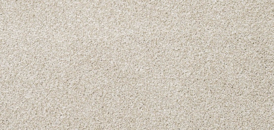 Vivace Orchid Carpet Flooring