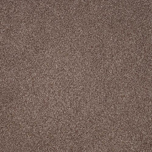 Vivace Maple Carpet Flooring