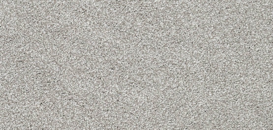 Vivace Inox Carpet Flooring